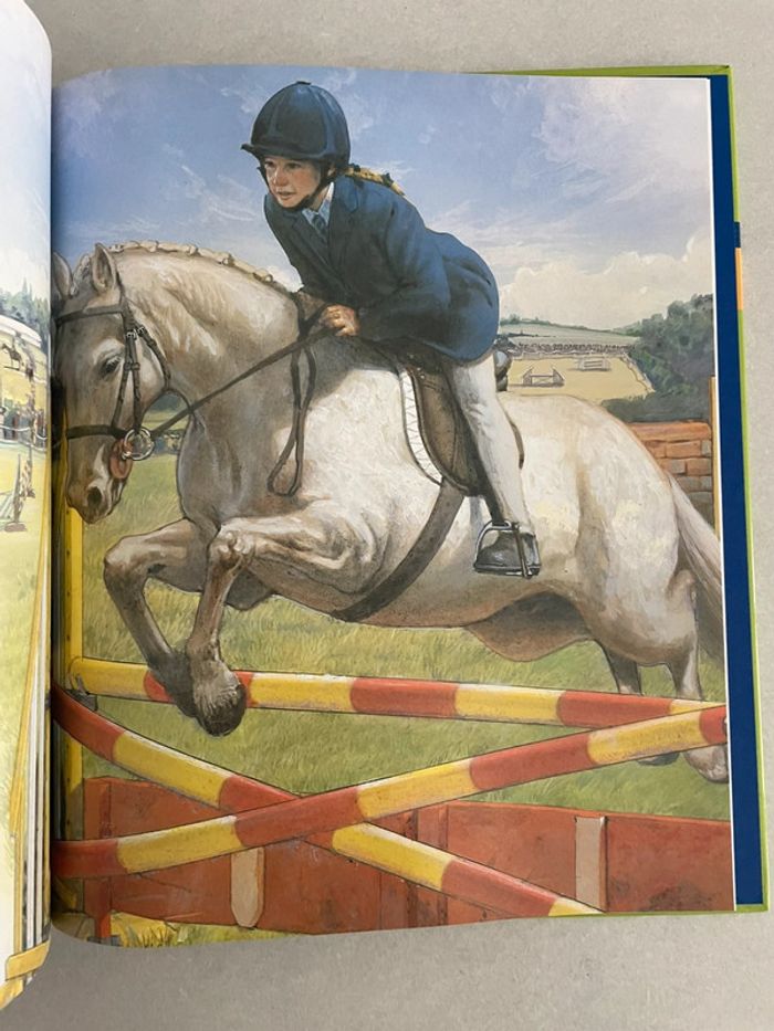 Les Poneys - photo numéro 5