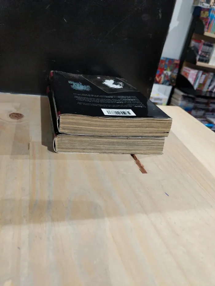 Stray Dog – Tomes 1 & 2 - photo numéro 4