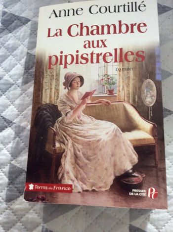 #la chambre aux pipistrelles Anne Courtillé