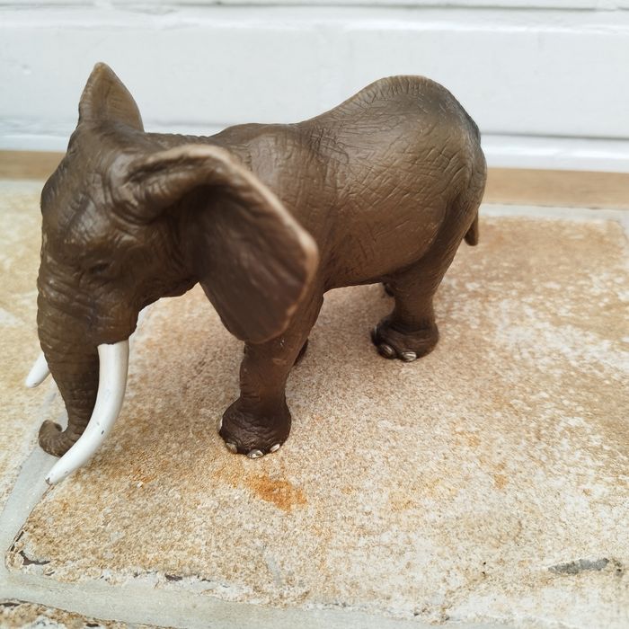Éléphant d'Afrique mâle - photo numéro 3