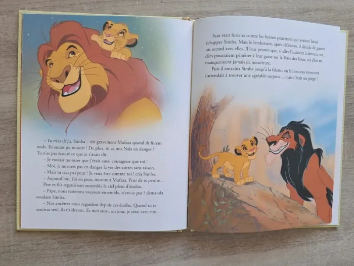 Livre le roi lion Disney - photo numéro 2