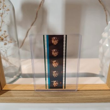 Pellicule demon slayer Tengen