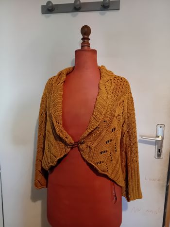 Gilet camaieu