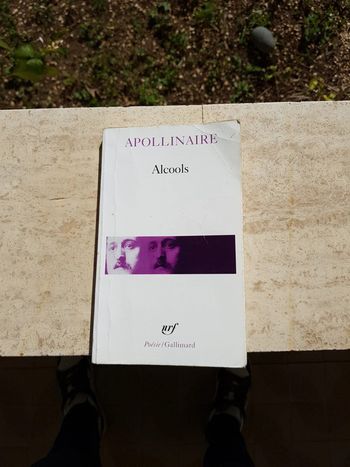 Alcools - Apollinaire