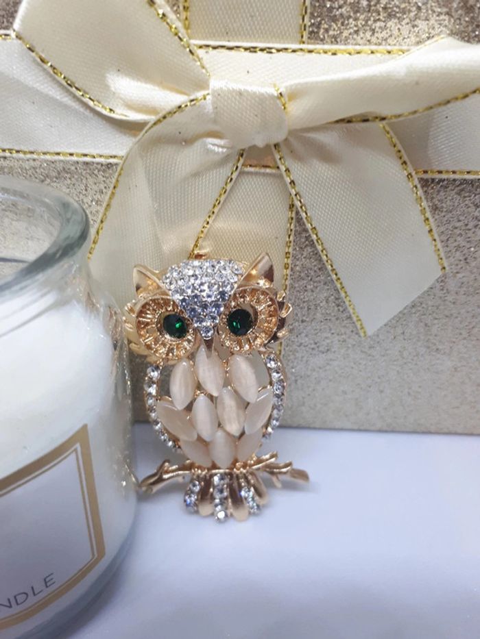 Très belle broche hibou 🦉