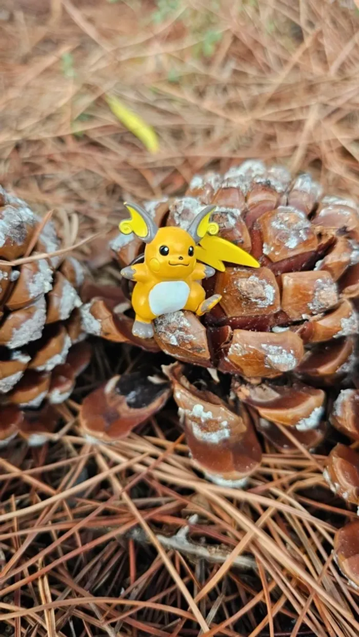 Super petite figurine Pokemon Nintendo Raichu