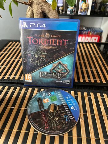 Jeu de ps4 torment icewind