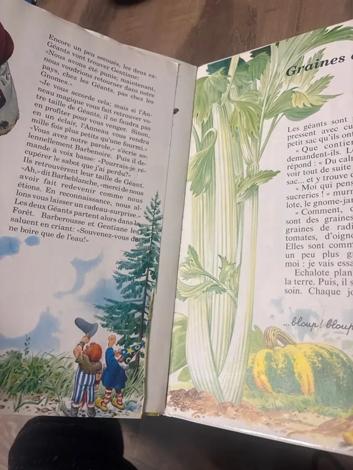 🛑 livre conte du joue Bois🛑 - photo numéro 5