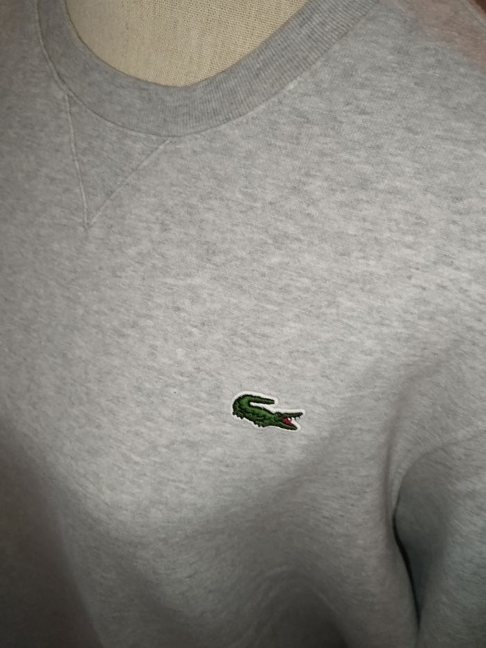 Pull Lacoste - photo numéro 2