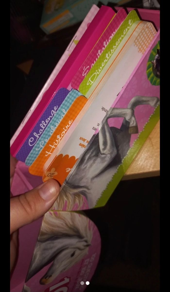 Boite quizz chevaux - photo numéro 2