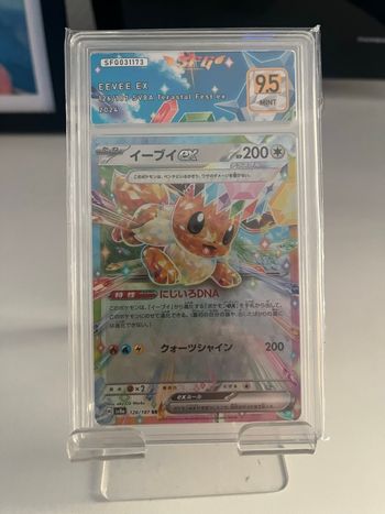 Evoli ex gradée 9.5