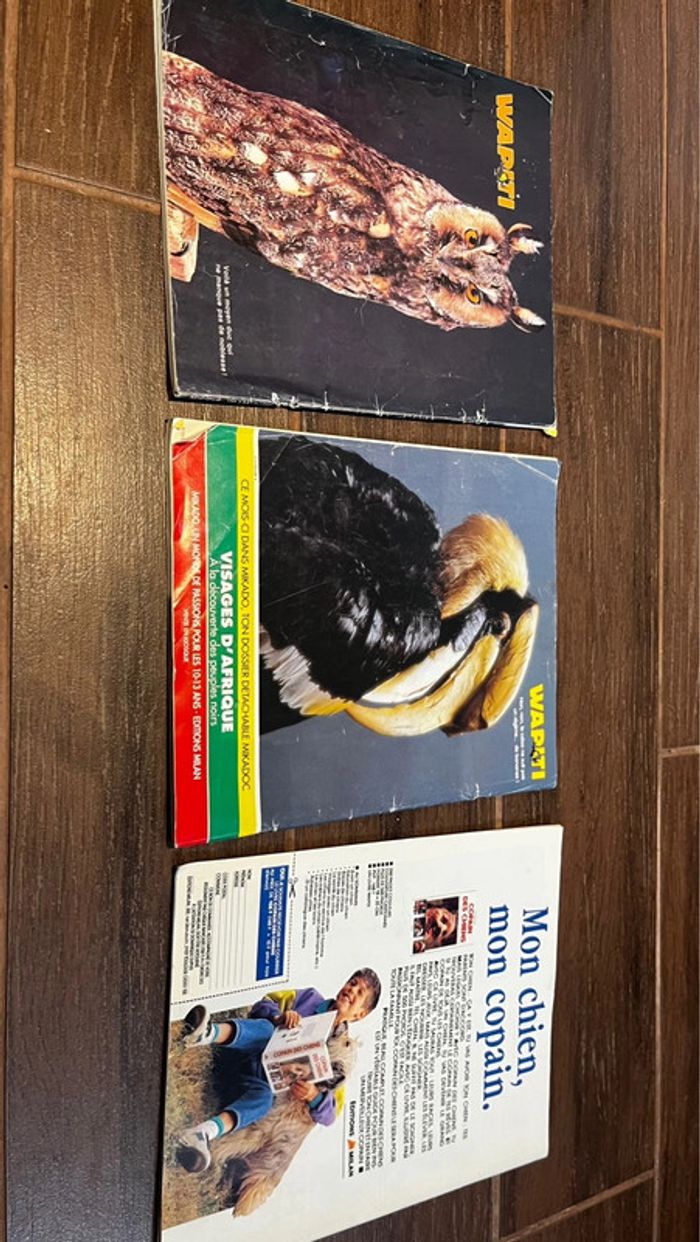 Magazines wapiti - photo numéro 3