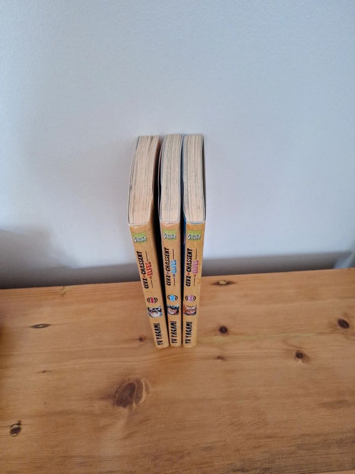 Manga ceux qui chassent des Elfes 3 tomes - photo numéro 3