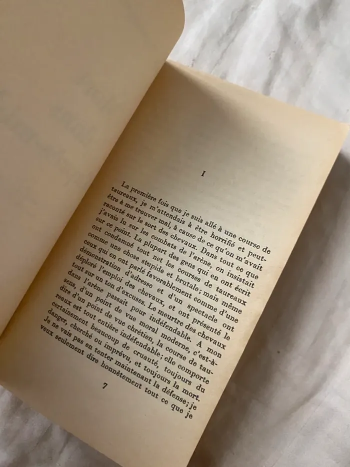 Ernest Hemingway – Mort dans l’après-midi - photo numéro 2