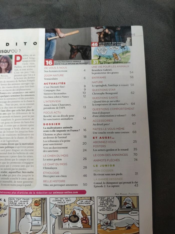 Magazine 30 millions d'amis numéro 389 novembre 2020 - photo numéro 3