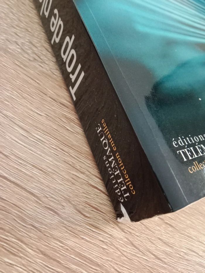 Enrico Pandiani 💠Trop de plomb - photo numéro 3