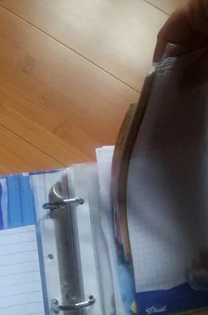 Classeur diddl avec feuilles diddl anciennes rares - photo numéro 4