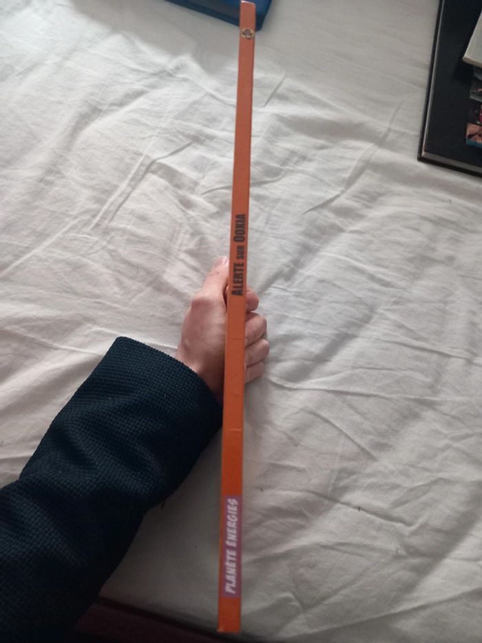 Alerte sur Ooxia - photo numéro 3