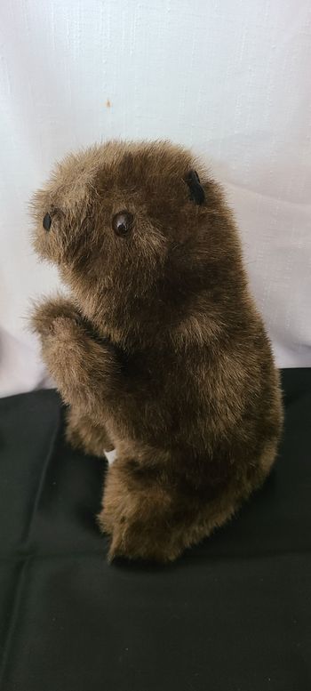 Peluche marmotte marron
