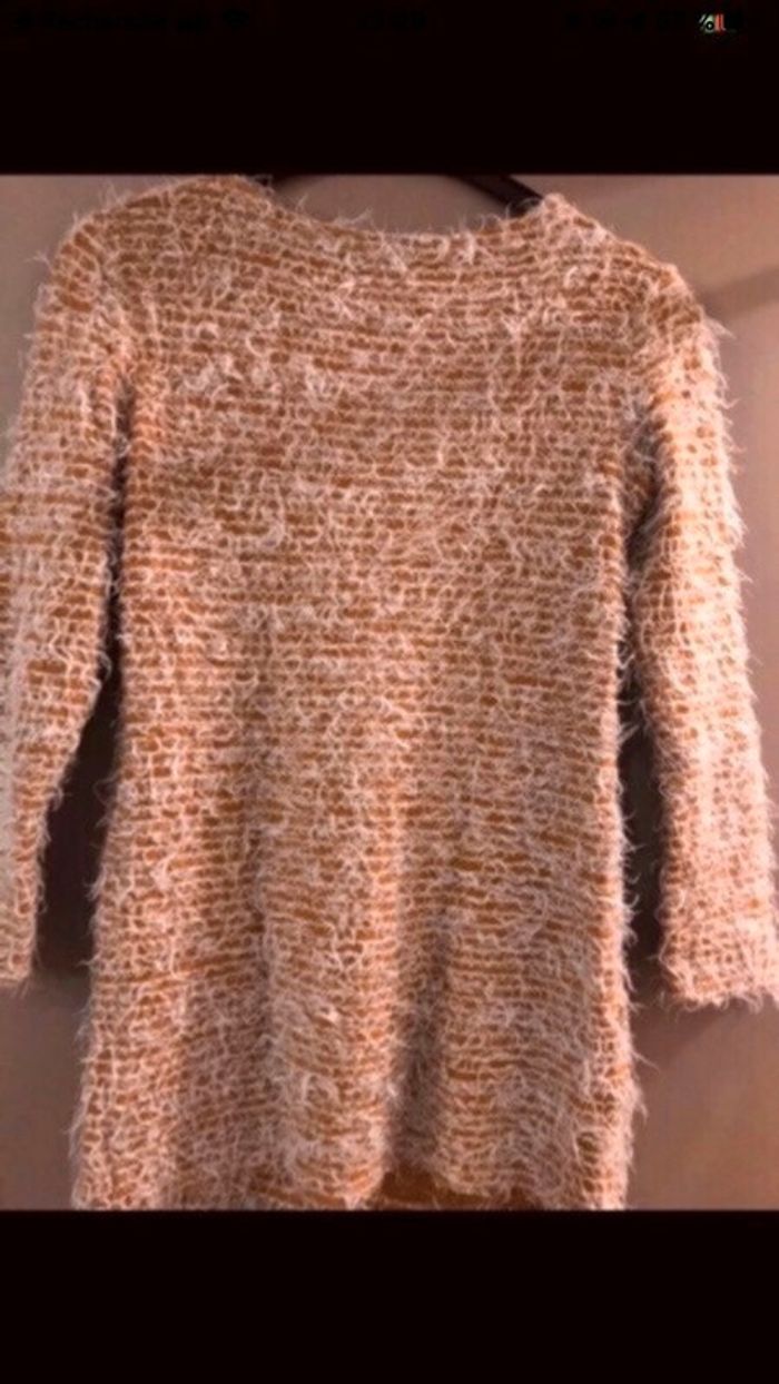 Pull poilu - photo numéro 3