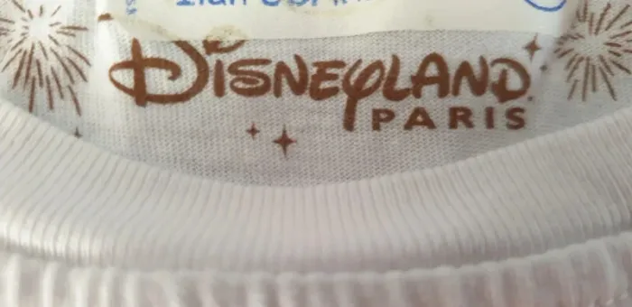 Tee-shirt blanc Disneyland 6 ans - photo numéro 3