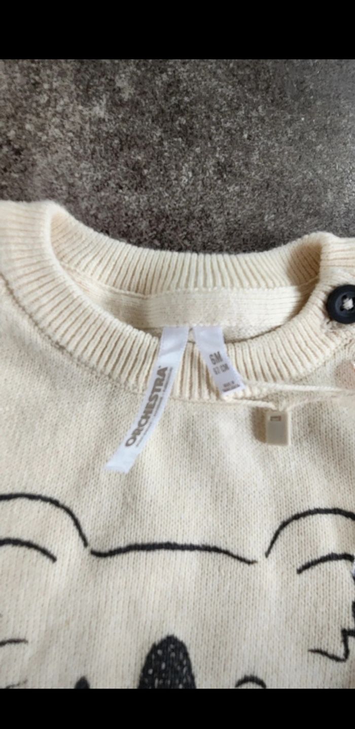 Pull orchestra - photo numéro 2