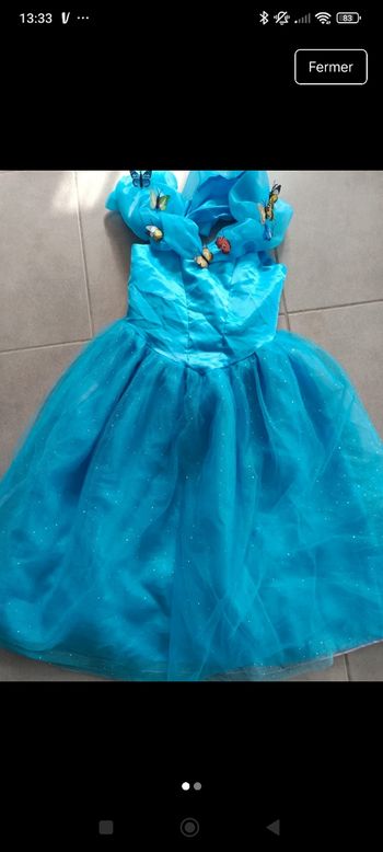 Déguisement princesse papillon bleu 