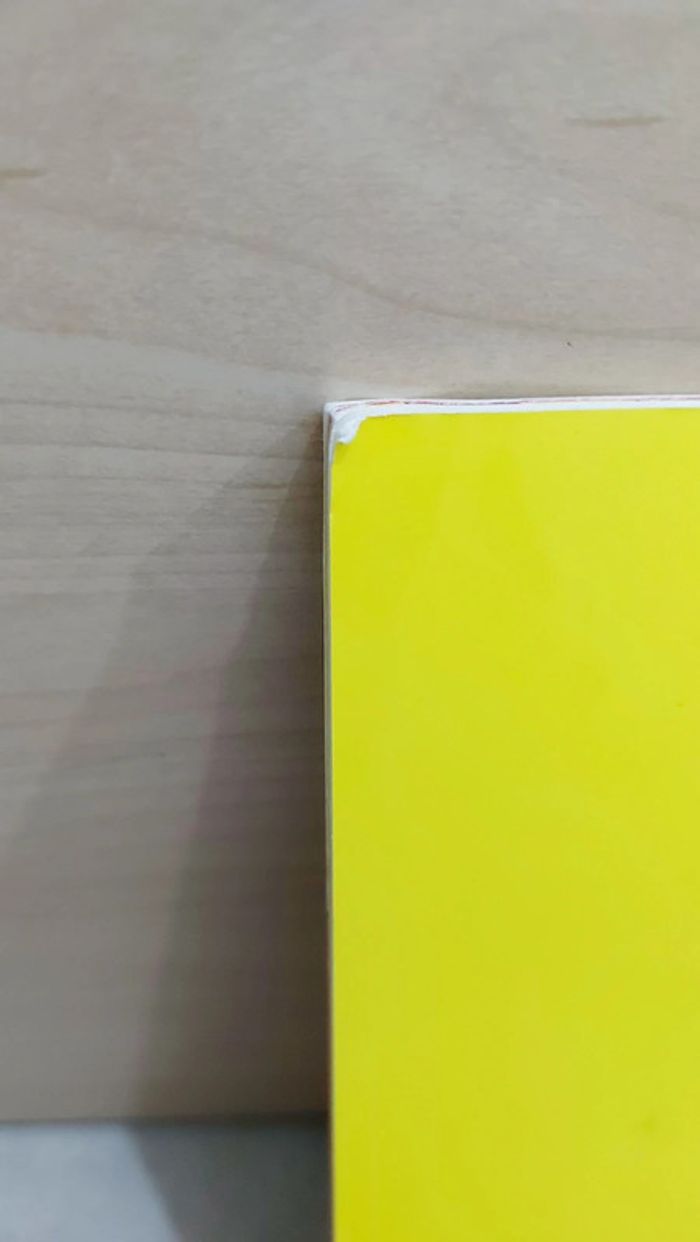 🌺 Livre (école des loisirs) : Loulou à l'école des loups - photo numéro 7