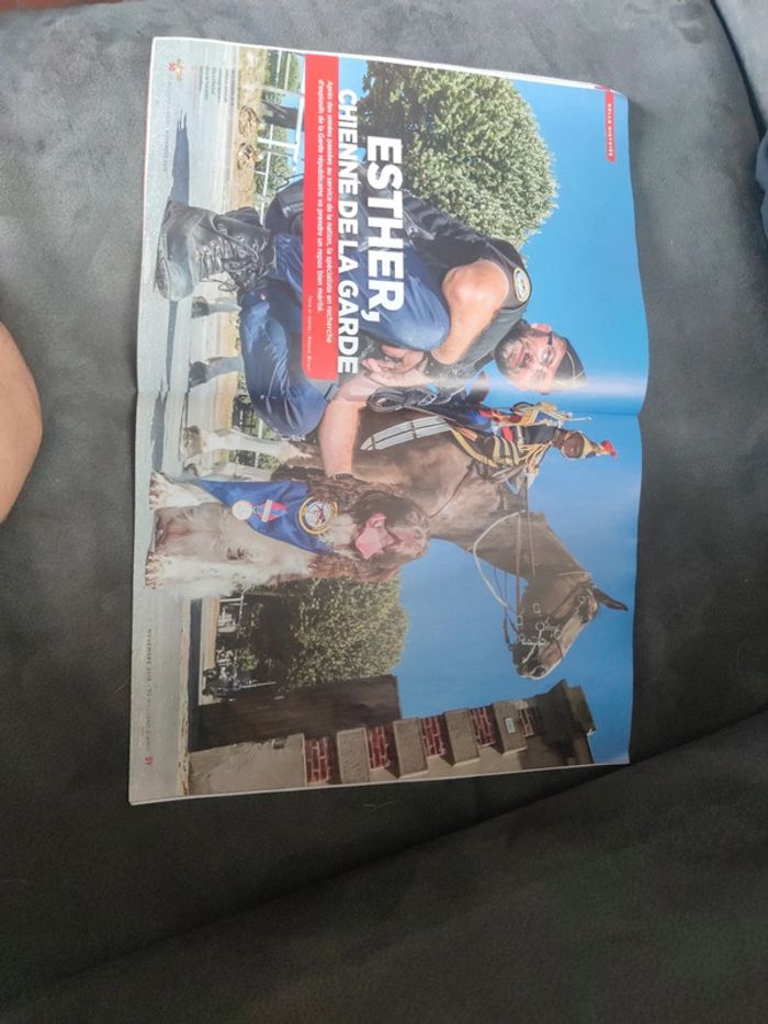 Magazine 30 millions d'amis numéro 367 novembre 2018 - photo numéro 5