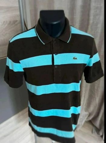 polo lacoste