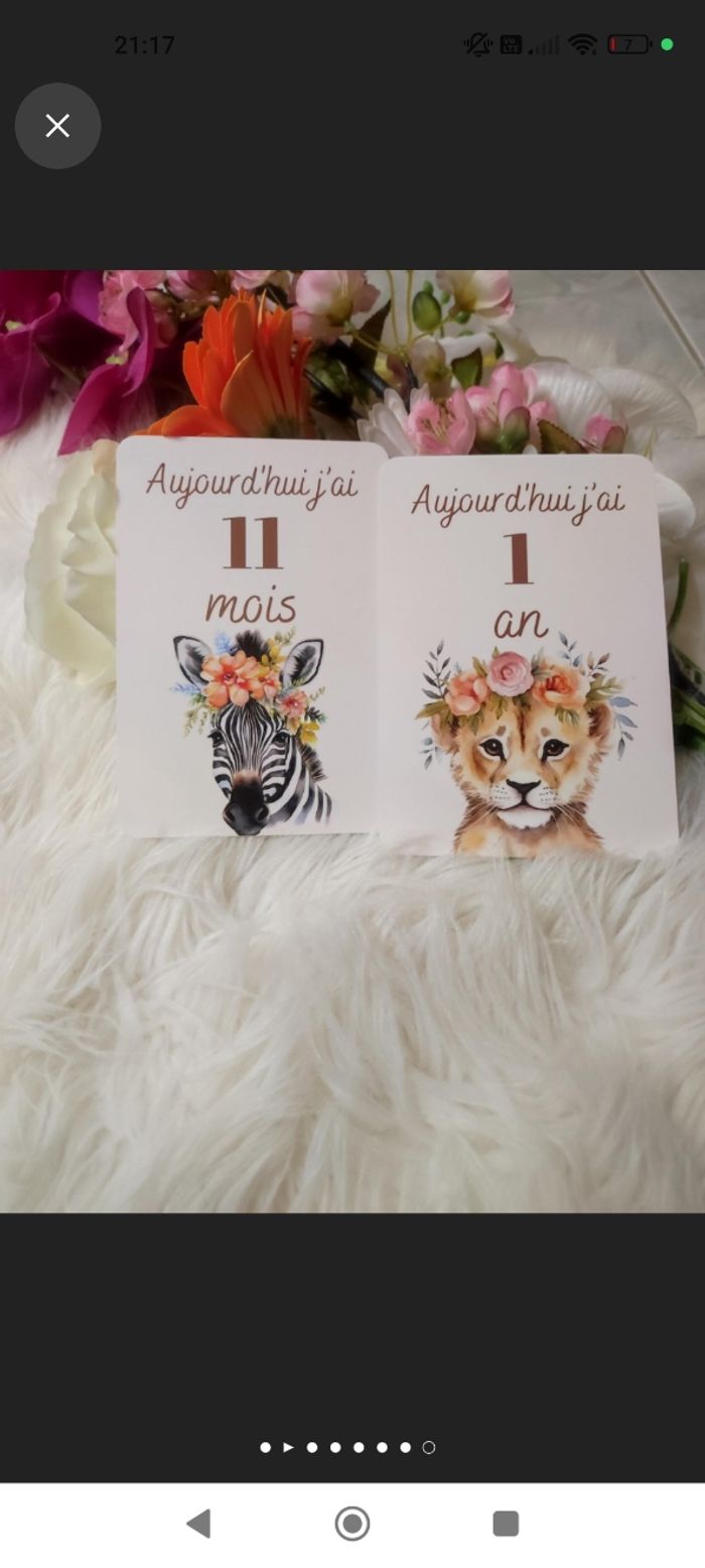 Carte étape bébé - photo numéro 7