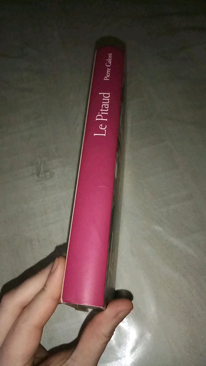 Le Pitaud - photo numéro 2