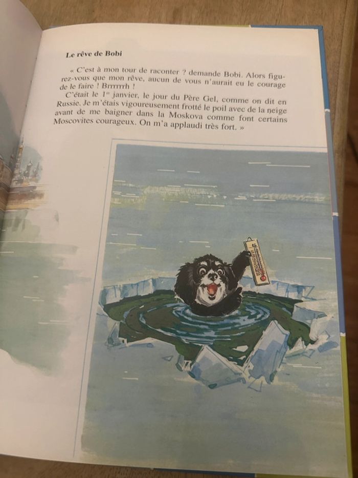 Pierre Probst - Caroline en Russie collection damier bords colorés livre bd album rare - photo numéro 5