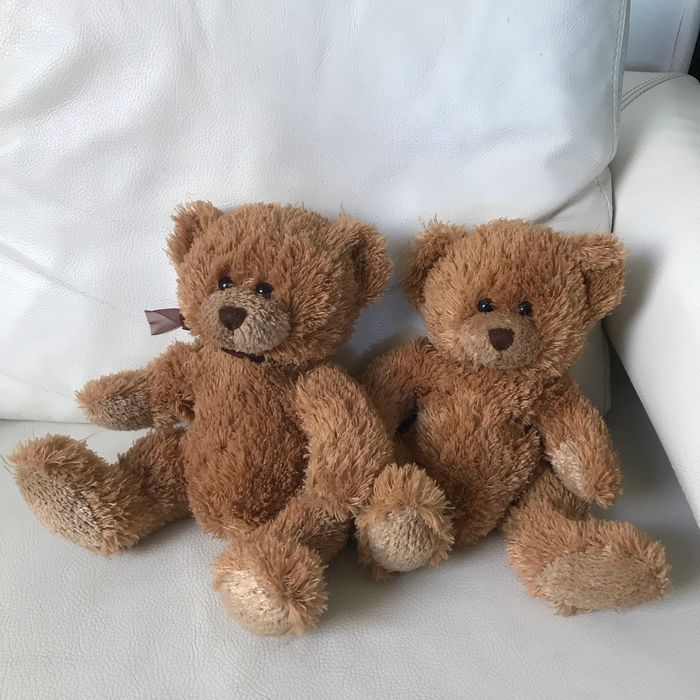 2 grands ours brun identiques