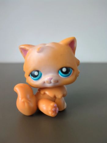 figurine pet shop chat