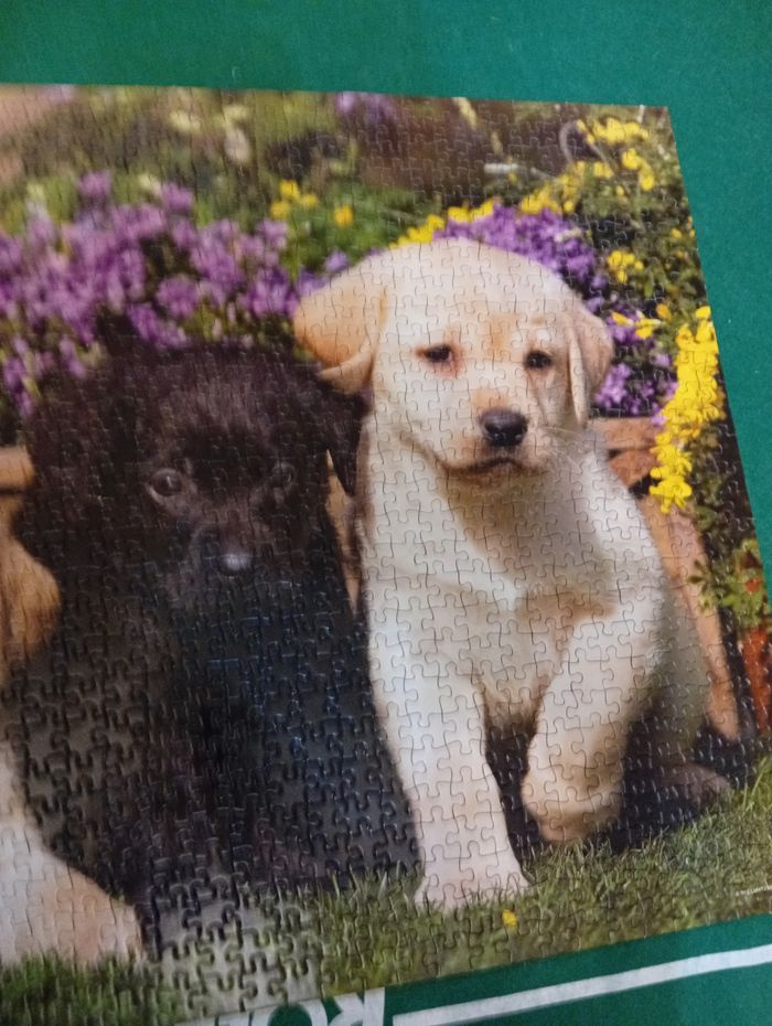 Puzzle 1000 pièces - photo numéro 4