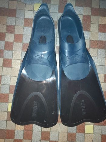 Palmes