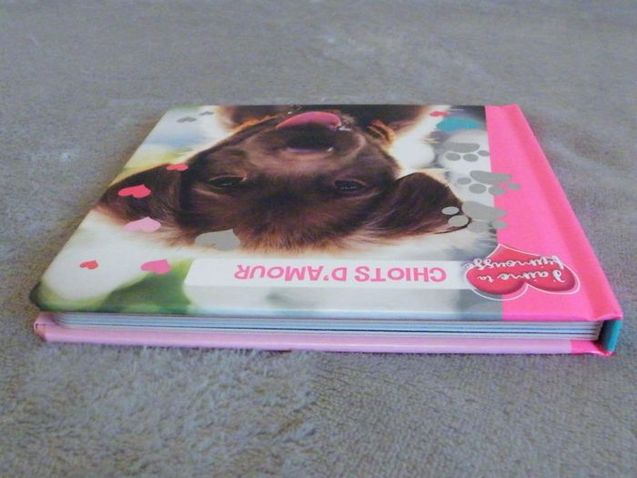 Livre tout carton "Chiots d'amour" J'aime ta frimousse Crackboom - photo numéro 6