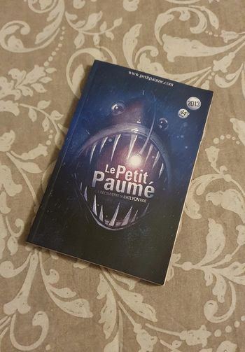 Le petit paumé - guide sur Lyon