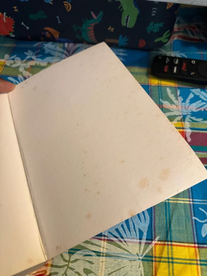 Livre journal d’une Princesse - cœur brisé - meg cabot - photo numéro 5