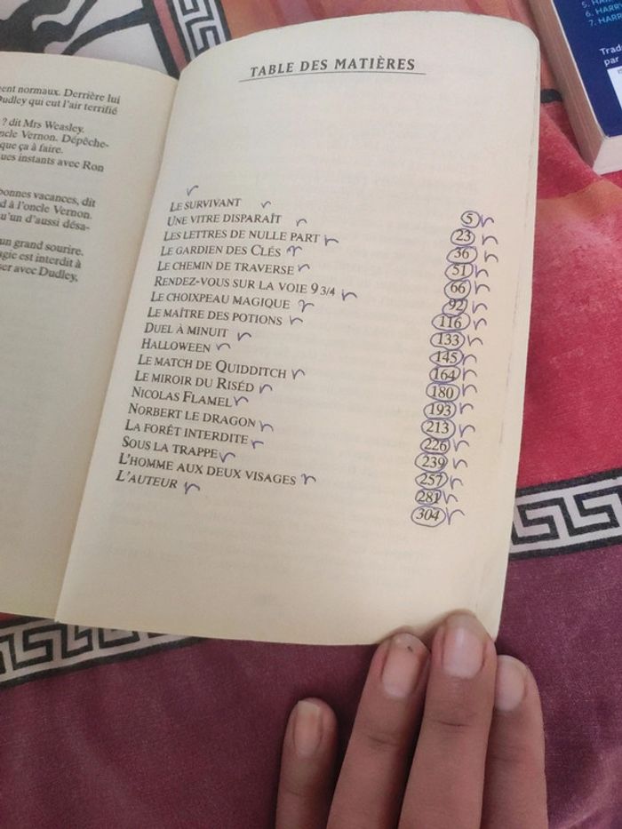 Harry Potter a l'école des sorciers - photo numéro 4