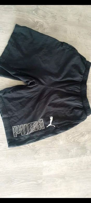 Short puma