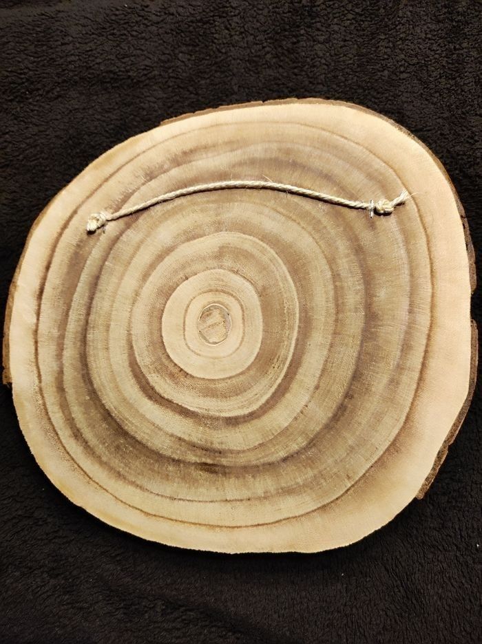 Rondin de bois tigre - photo numéro 2