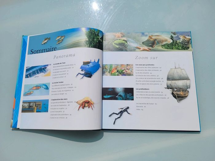 Livre Les Océans 🌊 à la loupe, éditions Larousse (48) - photo numéro 6