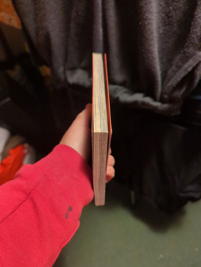 Les secrets de Darkwood - photo numéro 4