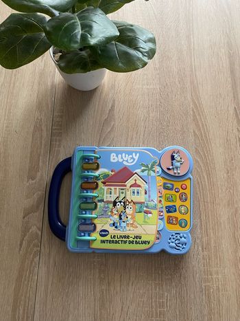 Livre interactif bluey 