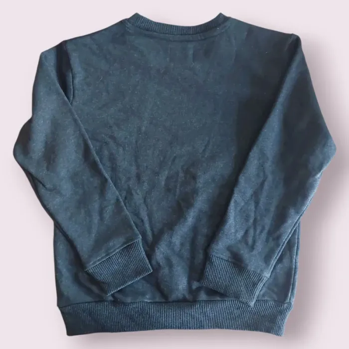Sweat garçon T 9 - 10 ans Neuf sans étiquette - photo numéro 2