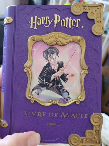 journal magique Harry Potter 2001