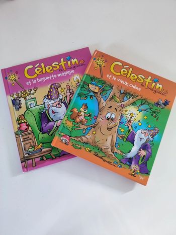 Lot 2 livres Celestin le magicien / jeunesse