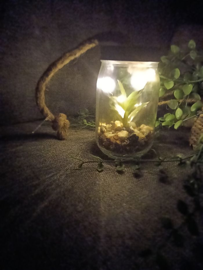 Bocal lumineux avec cactus - photo numéro 2